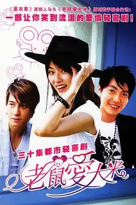 老鼠爱大米 海报