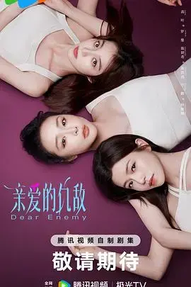 亲爱的仇敌 海报