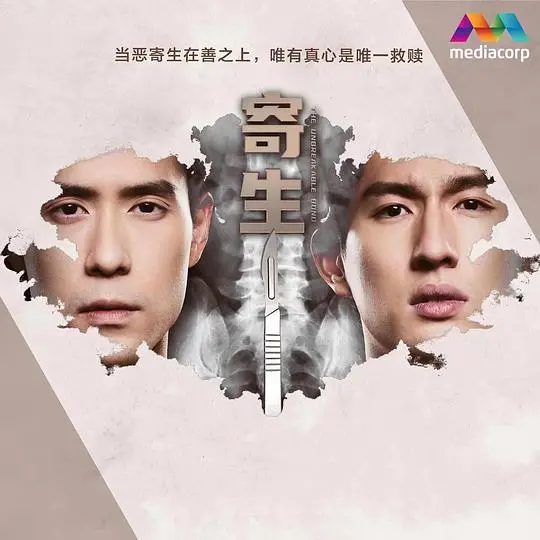 《寄生》：韩国黑色幽默杰作，阶级矛盾下的生存困境