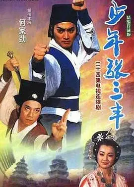少年张三丰1991 海报