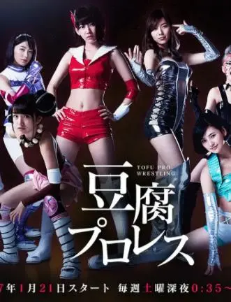 豆腐职业摔角 海报