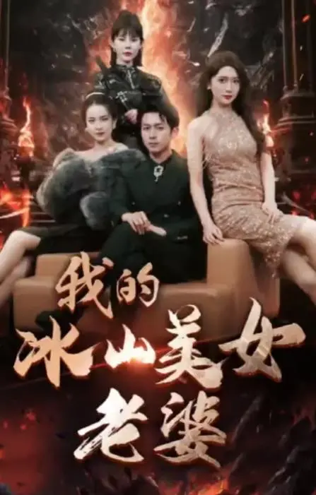 我的冰山美女老婆 海报