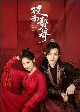 《双面赘婿》：反套路！看小人物如何逆袭，玩转豪门风云！